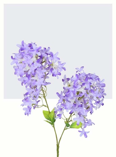 gałązki kwiatowe wiosenne