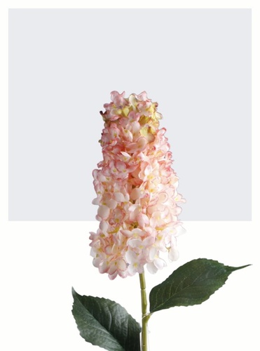 gałązki kwiatowe letnie