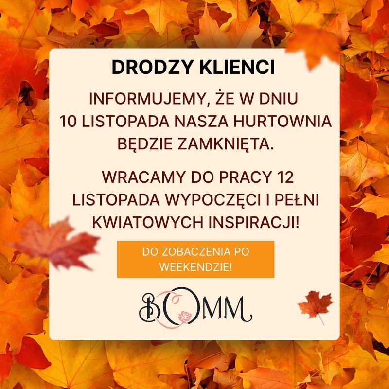 Długi weekend w Bomm!