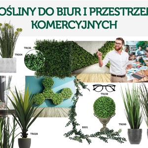 rośliny dla biur i przestrzeni komercyjnych