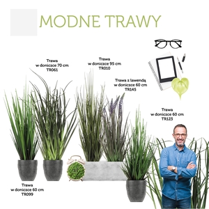 trawy dekoracyjne