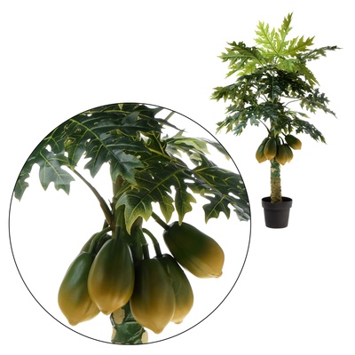 Papaja - drzewko 130 cm (T023)