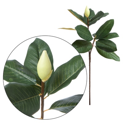 Magnolia - gałązka 75 cm (R907)