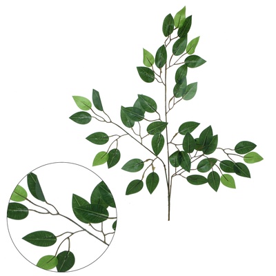 Ficus - leafy twig 60 cm (L493)