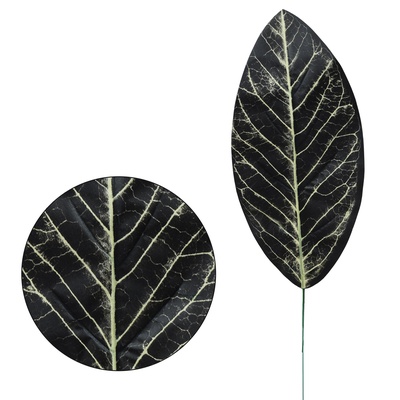 Kalatea - liść 49 cm (L498)