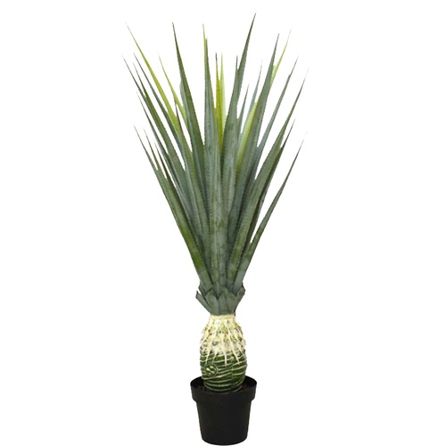 Aloes w doniczce 120 cm (D088) - Rolina doniczkowa - D088