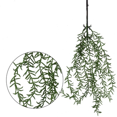 Asparagus - zwis 65 cm (B217)