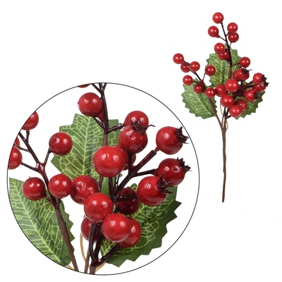 Głóg - pik 30 cm (XP247)